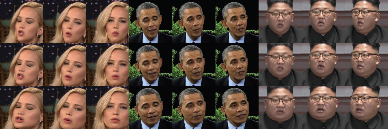 Parametric Reshaping of Portraits in Videos