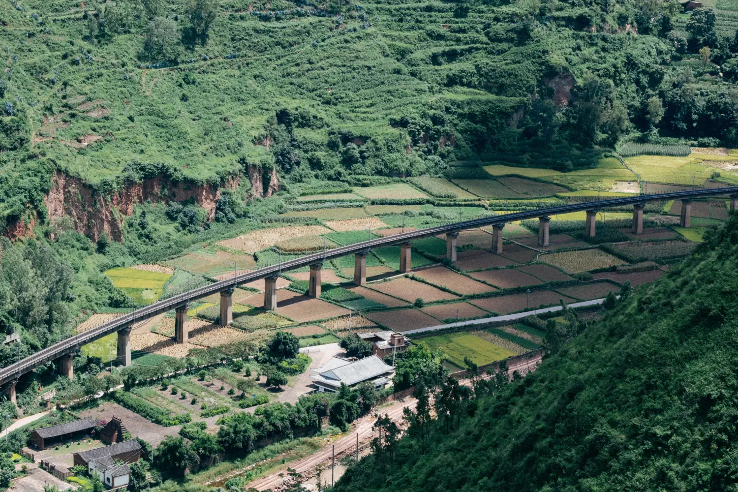 乘小马车来时经过的田